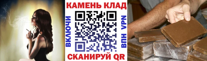 Купить где  Каменногорск  ГАШ Premium 