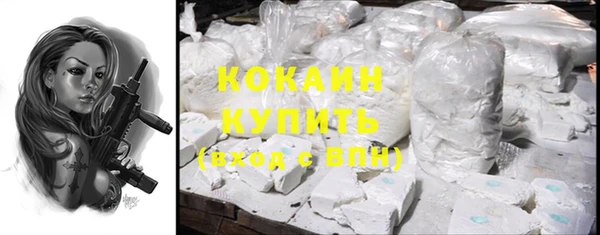 Альфа ПВП Ельня