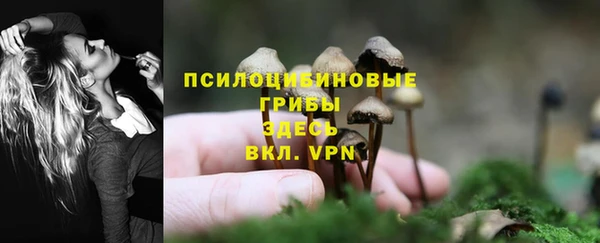 марихуана Елизово