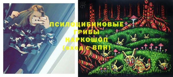 Альфа ПВП Ельня