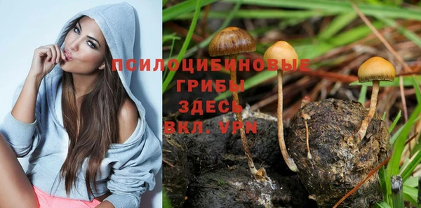 mix Елабуга