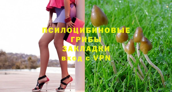 Альфа ПВП Ельня