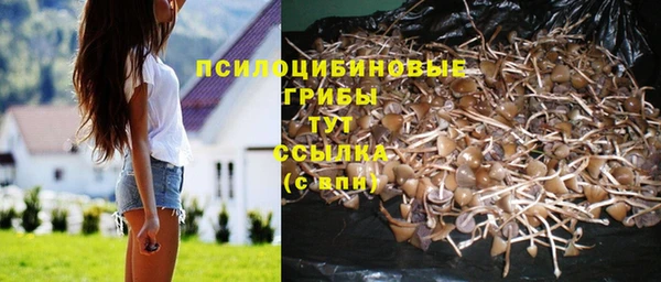 a pvp Заволжск