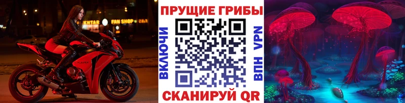 Псилоцибиновые грибы мухоморы  Купить  Каменногорск 